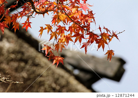 香嵐渓の紅葉 12871244
