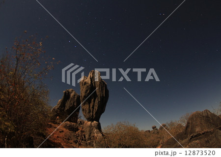 星空 12873520