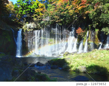 白糸の滝 白糸の滝 12873652