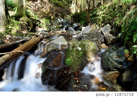 貴船川源流 12873719