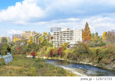 秋の広瀬川と仙台市全景 12873735