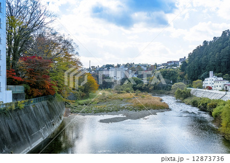 秋の広瀬川と仙台市全景 12873736
