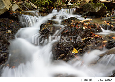 貴船川源流 12873862