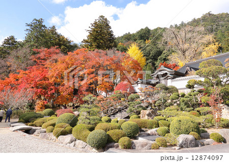 四国霊場第八十八番札所「大窪寺」庫裏前の紅葉 12874097