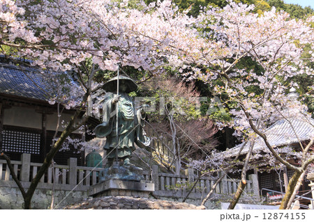 四国霊場第71番札所「弥谷寺」満開の桜と弘法大師像 四国霊場第71番札所「弥谷寺」満開の桜と弘法大師像 12874155