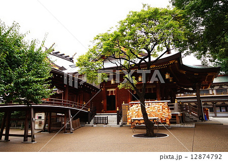 湯島天神　拝殿　（湯島天満宮）　東京都 文京区 12874792