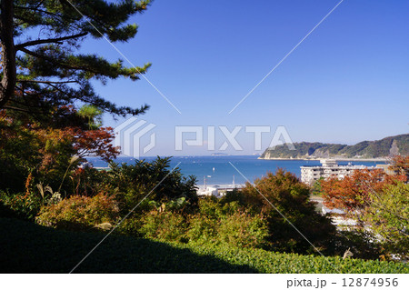 郷土資料館からの眺望 12874956