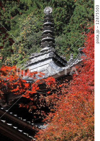 四国別格霊場(番外札所)15番「箸蔵寺」護摩殿の紅葉 四国別格霊場(番外札所)15番「箸蔵寺」護摩殿の紅葉 12875503
