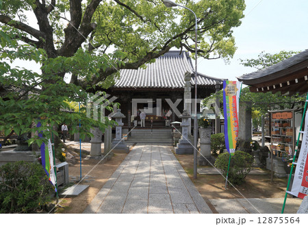四国霊場第83番札所「一宮寺」本堂 12875564