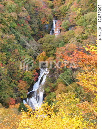 霧降の滝-Autumn＠日光霧降高原 12876002