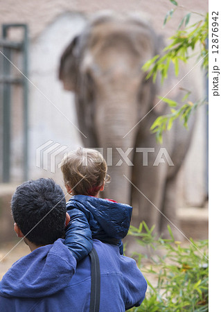 children at the zoo 12876942