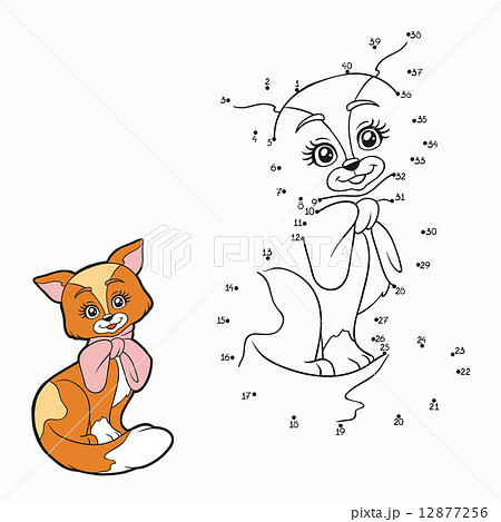 Numbers game (cat) Numbers game (cat) 12877256