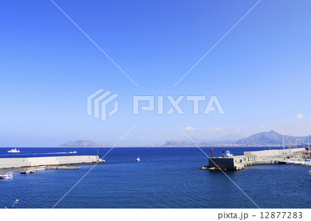 パレルモ palermo パレルモ palermo 12877283