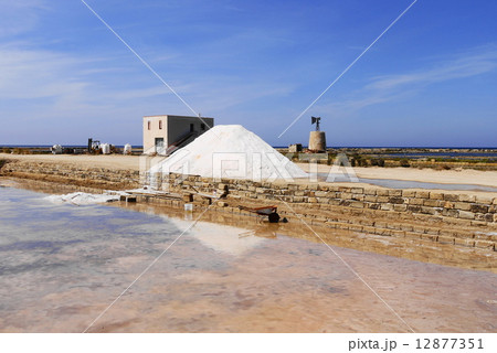 トラパニ trapani 塩田 トラパニ trapani 塩田 12877351