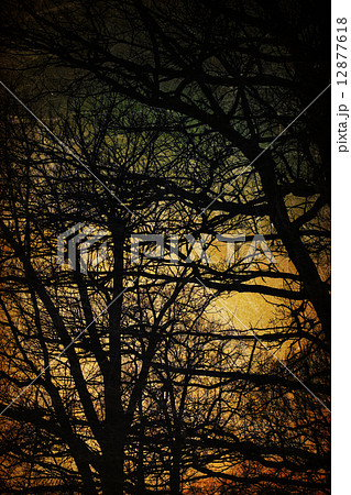 Spooky trees silhouettes. Vintage background Spooky trees silhouettes. Vintage background 12877618