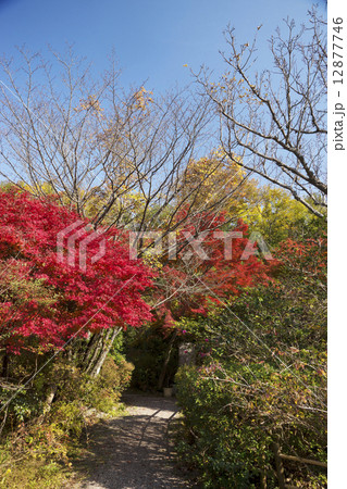 秋景色　奈良　不退寺 12877746