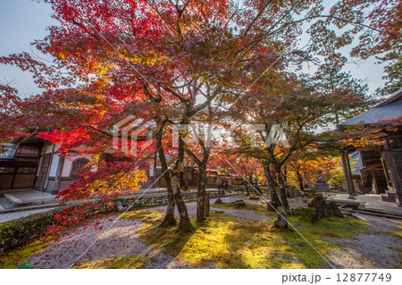 永源寺の紅葉 12877749