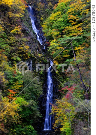 不動の滝の紅葉 12878043