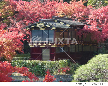 紅葉の国指定重要文化財「船屋形」(神戸相楽園) 紅葉の国指定重要文化財「船屋形」(神戸相楽園) 12878116
