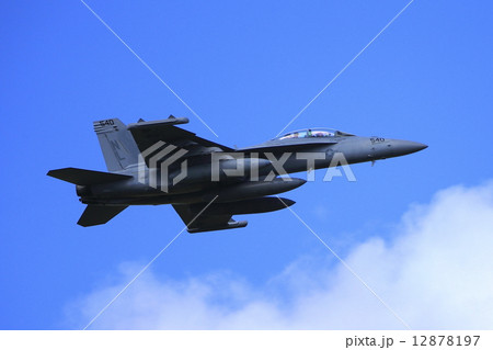 EA-18Gグラウラー EA-18Gグラウラー 12878197