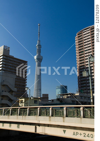 東京スカイツリー～栗原橋から～ 12878209