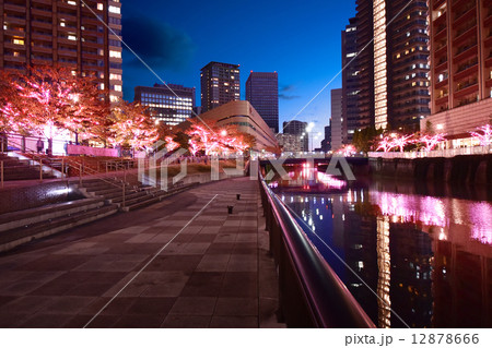 五反田ふれあい水辺広場のイルミネーション 五反田ふれあい水辺広場のイルミネーション 12878666