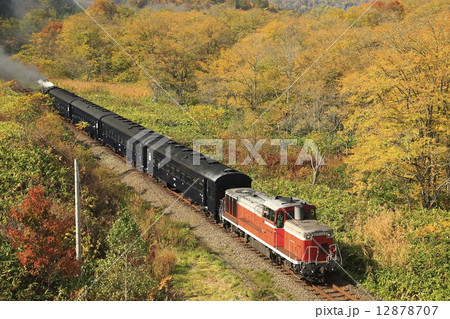 紅葉の函館本線 紅葉の函館本線 12878707