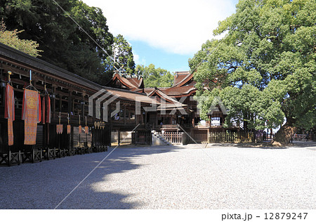 金刀比羅宮例大祭宵宮の南渡殿前から御本宮と御神木を見る 12879247