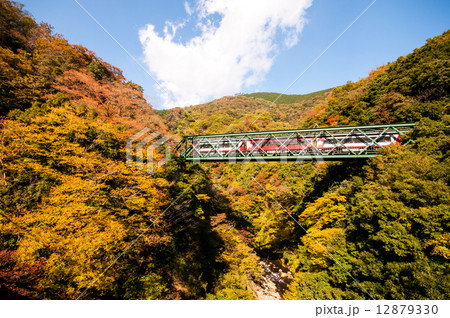 秋の出山鉄橋 12879330