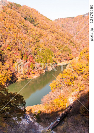 紅葉の天竜川 12879569