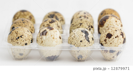 Quail eggs on egg box, side view, focus on front 12879971