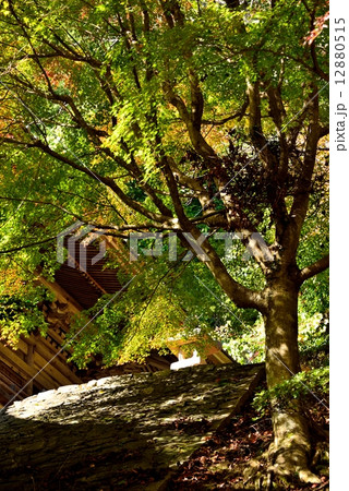 箸蔵寺 箸蔵寺 12880515