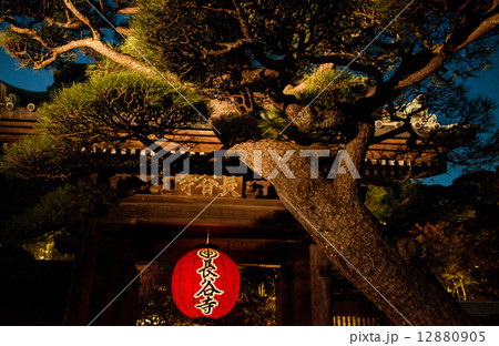 長谷寺 長谷寺 12880905