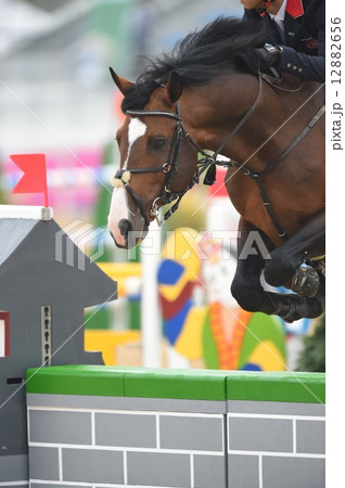 馬術の障害飛越 12882656