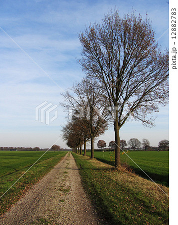 Road typical landscape for The Netherlands Road typical landscape for The Netherlands 12882783