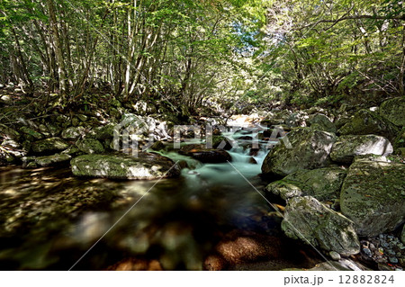 徳和渓谷 12882824