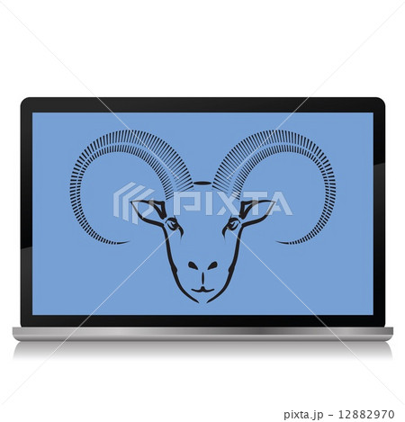 ram on the laptop screen 12882970