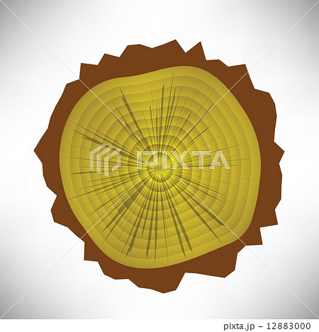tree rings 12883000