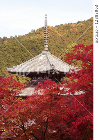 秋景色　奈良　壺阪寺 12883963