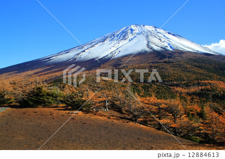 秋　富士山　紅葉　写真 12884613