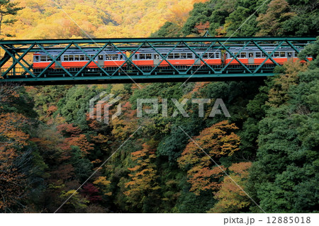 出山鉄橋と箱根登山鉄道 出山鉄橋と箱根登山鉄道 12885018