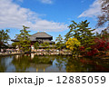 鏡池に映る東大寺 12885059