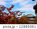 大仏殿の紅葉 12885061