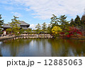 壮大な東大寺と鏡池 12885063