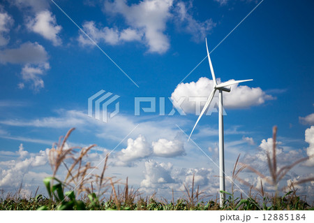 Wind Turbine Farm 12885184