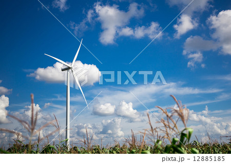 Wind Turbine Farm Wind Turbine Farm 12885185