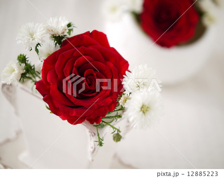 真紅のバラ（横位置） 12885223
