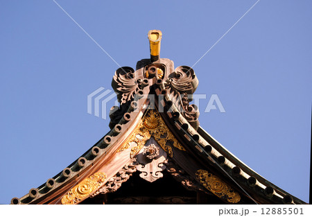 三島大社本殿 12885501