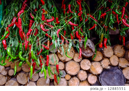 冬の準備 冬の準備 12885551