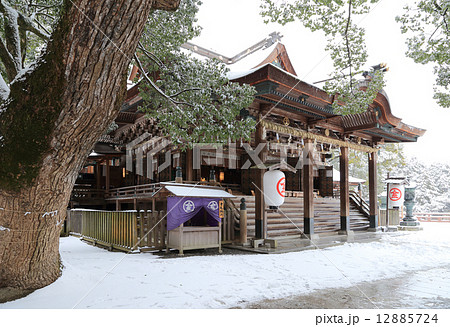 冬の金刀比羅宮御本宮「拝殿」と「御神木」 12885724